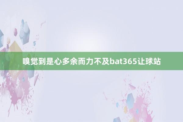 嗅觉到是心多余而力不及bat365让球站