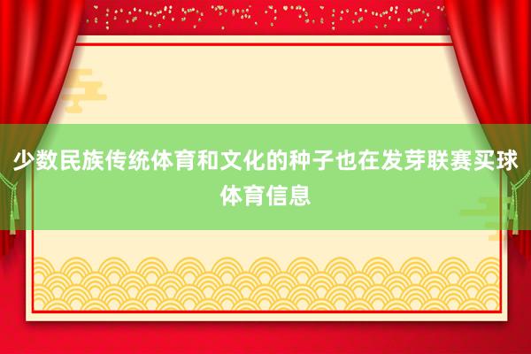 少数民族传统体育和文化的种子也在发芽联赛买球体育信息