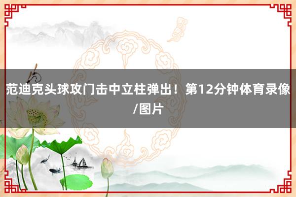 范迪克头球攻门击中立柱弹出！第12分钟体育录像/图片