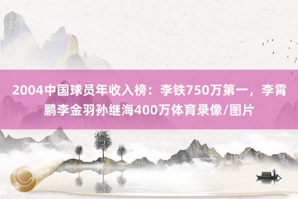 2004中国球员年收入榜：李铁750万第一，李霄鹏李金羽孙继海400万体育录像/图片