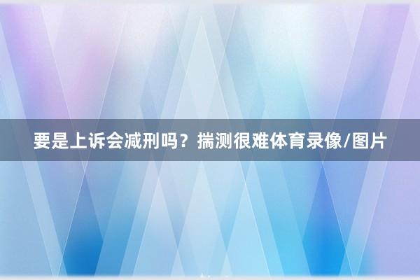 要是上诉会减刑吗？揣测很难体育录像/图片