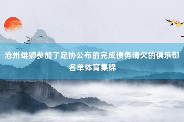 沧州雄狮参加了足协公布的完成债务清欠的俱乐部名单体育集锦