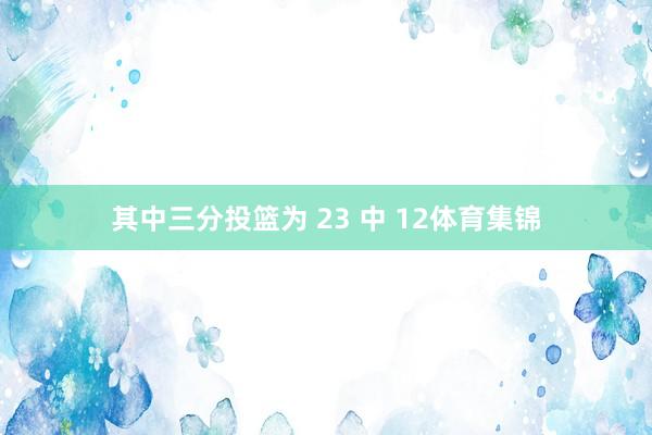 其中三分投篮为 23 中 12体育集锦