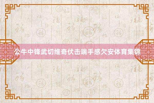 公牛中锋武切维奇伏击端手感欠安体育集锦